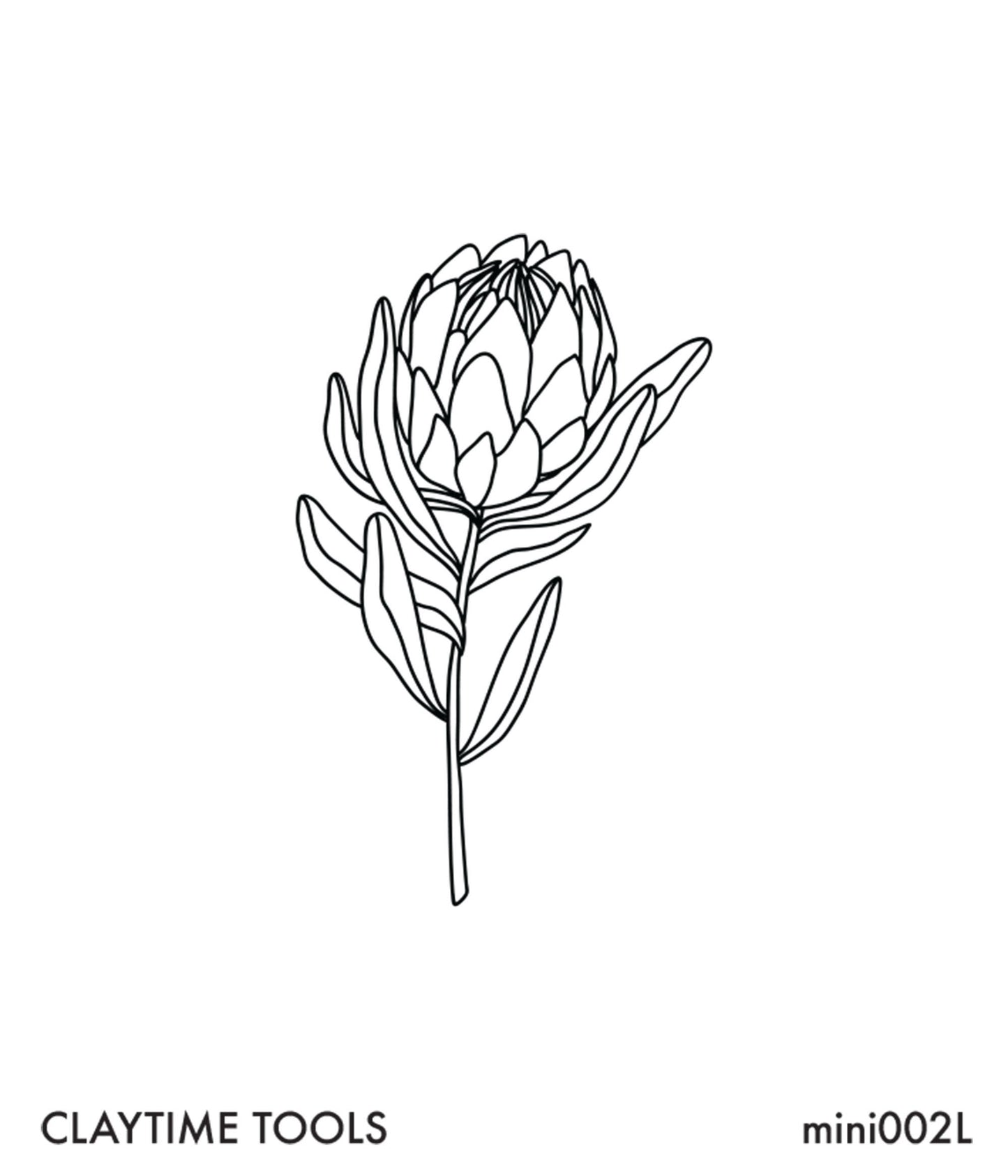 Protea Flower Mini Silkscreen